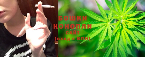 индика Беломорск