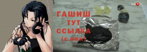 индика Беломорск