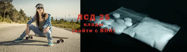 индика Беломорск