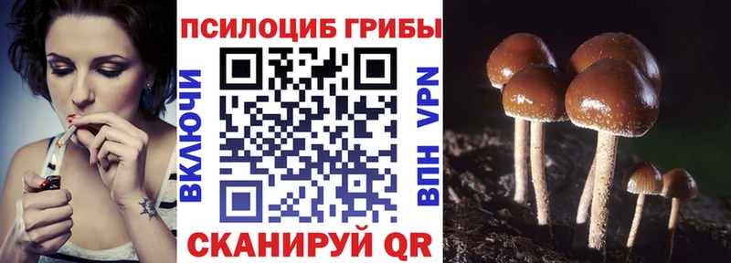 Галлюциногенные грибы ЛСД Ясногорск